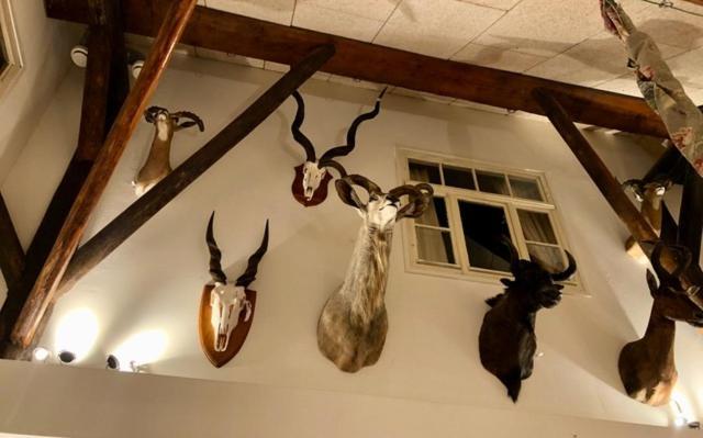 The Black Horse B&B & More Drachten Eksteriør bilde